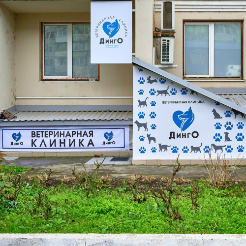 ветклиника Динго